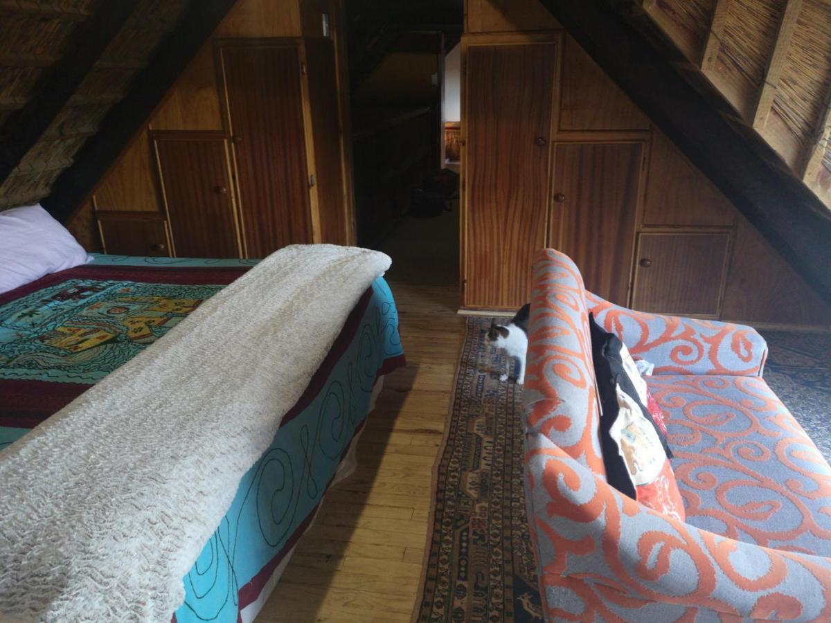 Chilli Moon B&B 스틸 베이 외부 사진