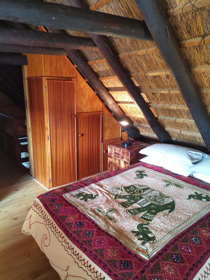 Chilli Moon B&B 스틸 베이 외부 사진