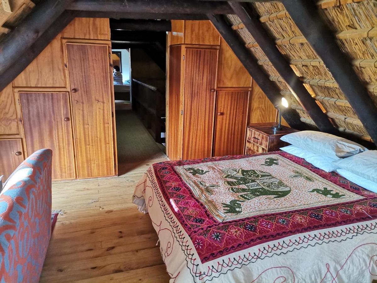 Chilli Moon B&B 스틸 베이 외부 사진